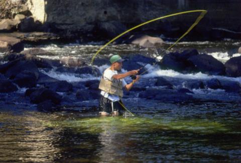 New York State DEC Region 5 Fishing & Hunting Hotline