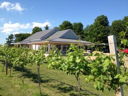 Vesco Ridge Vineyard Vesco Ridge Vineyard