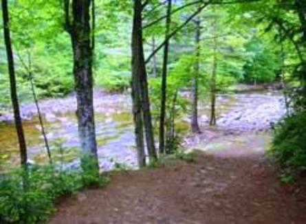Stony Creek Family Campground Stony Creek Family Campground