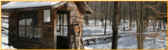 Maple Sugaring